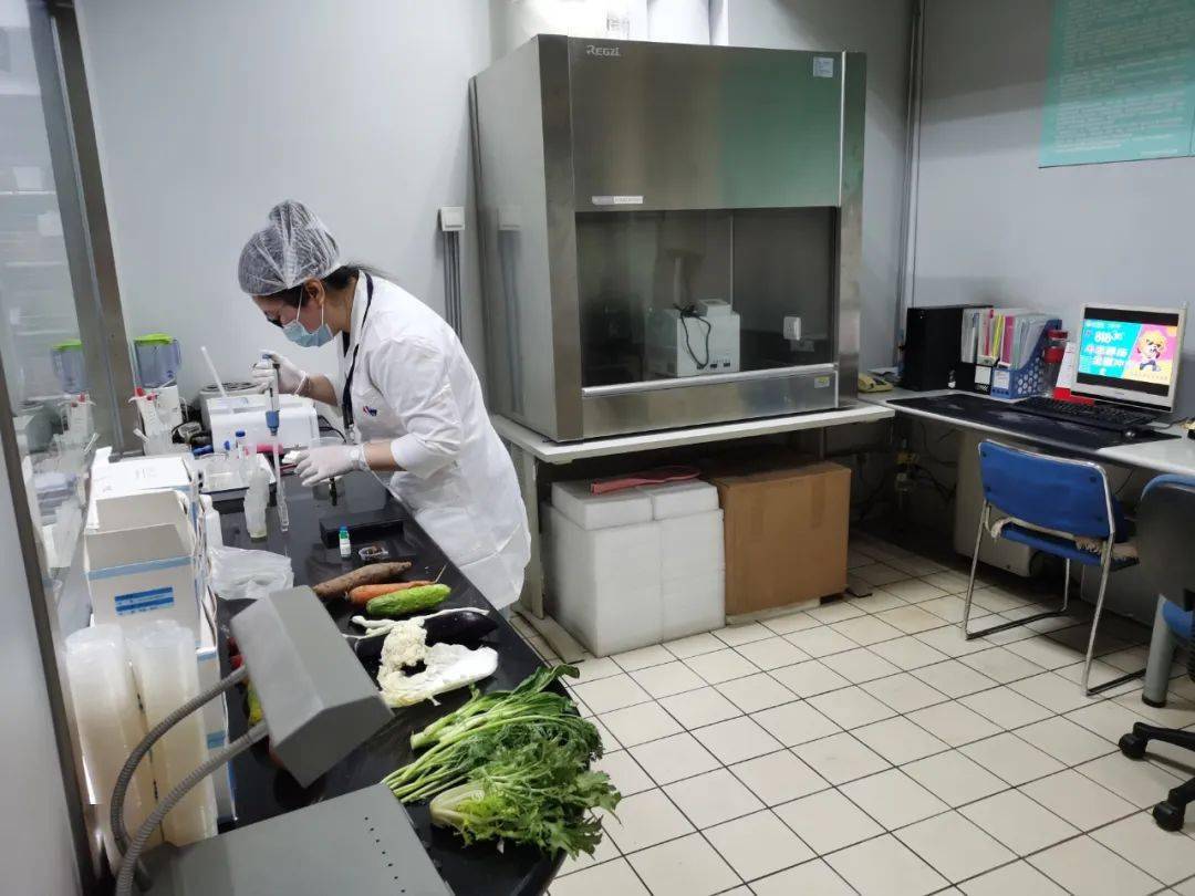 荔波食品检测实验室装修方案